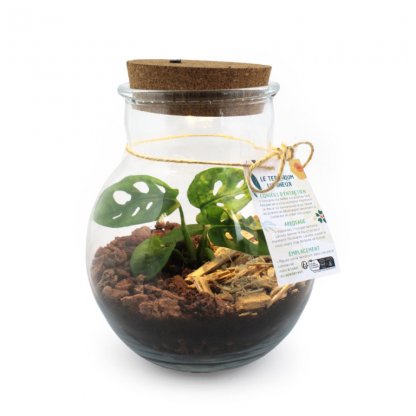 Terrarium Lumineux Avec Couvercle En Liège LED Photo Principale