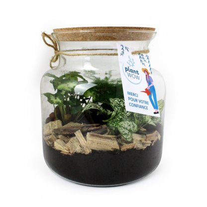 Terrarium Relaxant Avec Couvercle En Liège RELAX Photo Principale