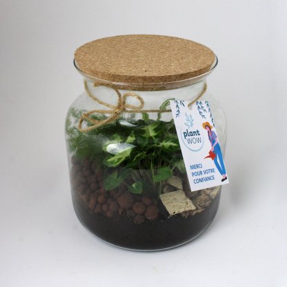 Terrarium Relaxant Avec Couvercle En Liège RELAX Vue Du Haut