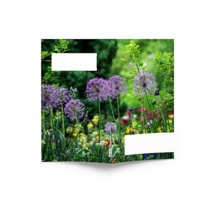 Mini Agenda De Bureau Souple 9,5x16,5cm ÉCO POCHE COULEUR Fleurs Violettes